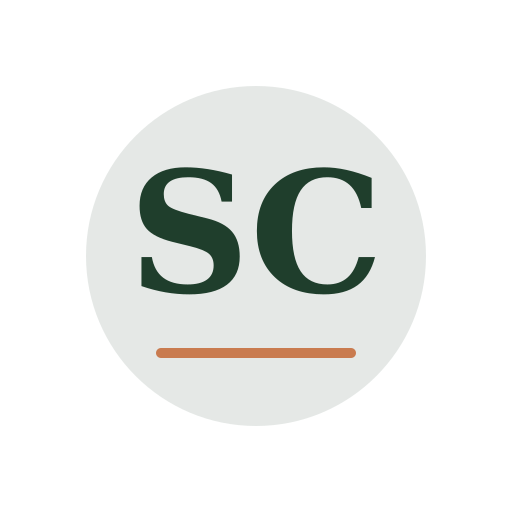Selra Chimney Repair logo